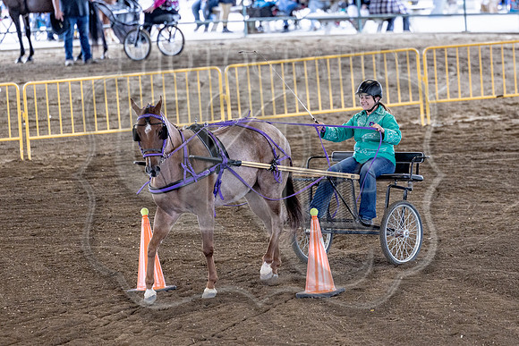 OSB_FallShow-0767