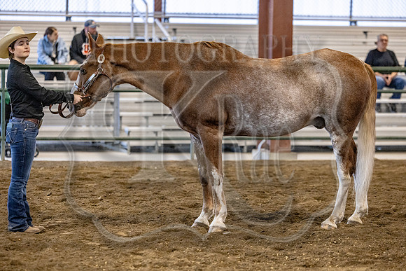 OSB_FallShow-0122