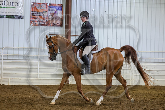 SASS-2598