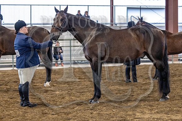OSB_FallShow-0191
