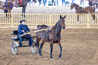 OSB_FallShow-0559