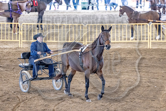 OSB_FallShow-0559