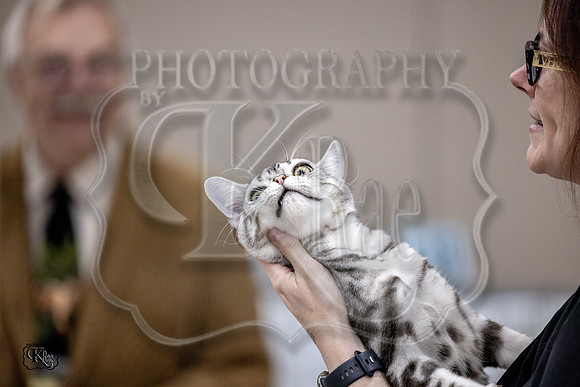 CFA_WLMGTN-0301