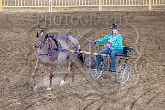 OSB_FallShow-0778