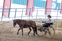 OSB_FallShow-0056