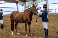 OSB_FallShow-0049