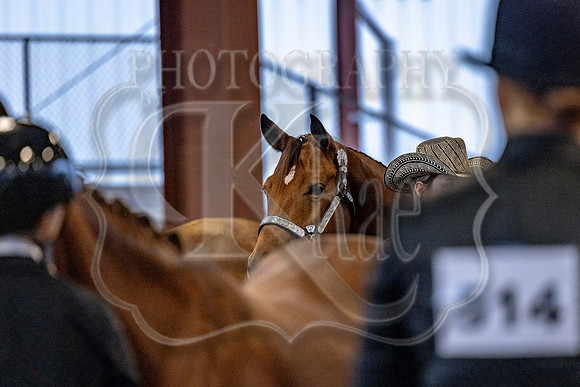 OSB_FallShow-0115