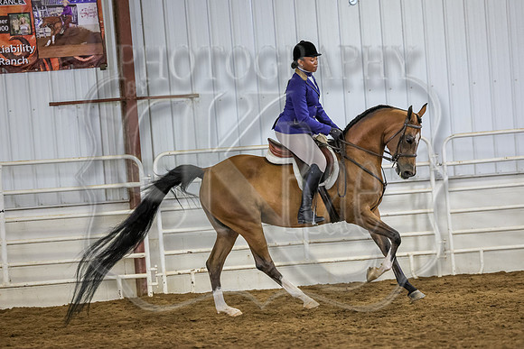 SASS-4708