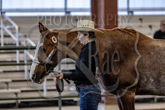 OSB_FallShow-0091