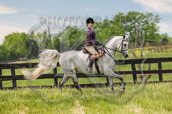 SASS-4061