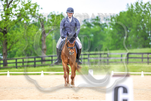 SASS-1873