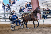 OSB_FallShow-0489