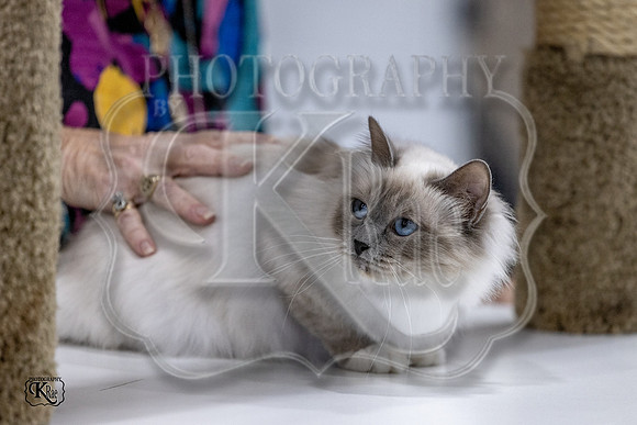 CFA_WLMGTN-0051