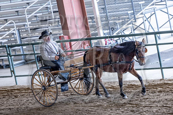 OSB_FallShow-0923