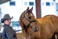 OSB_FallShow-2281