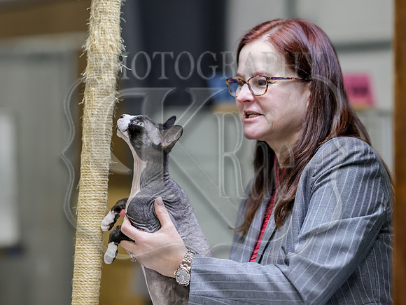 CatShowSat-0812