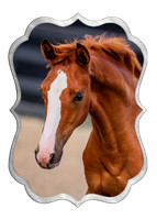 23Home_b