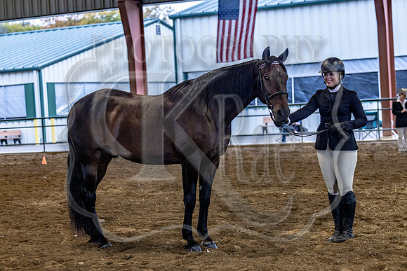 OSB_FallShow-0158