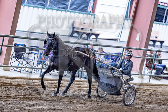 OSB_FallShow-0384