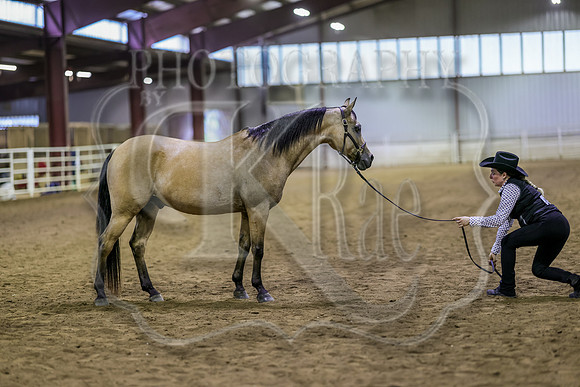 SASS-5436