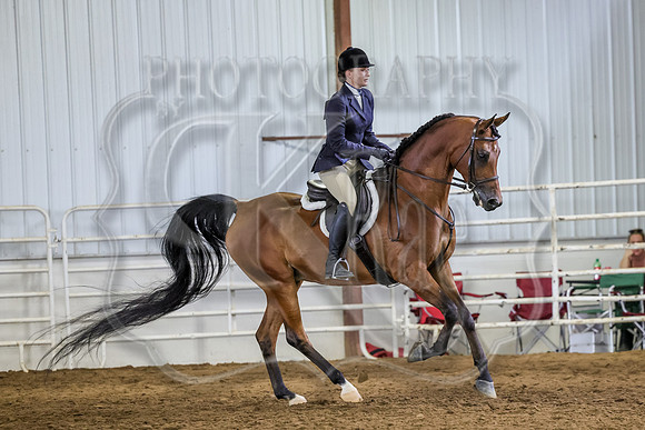 SASS-3531
