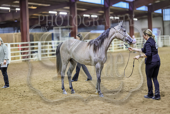 SASS-5850