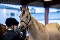 OSB_FallShow-0067