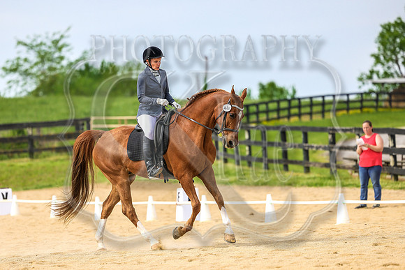 SASS-4103