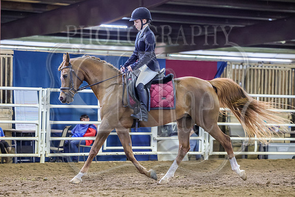 SASS-0997