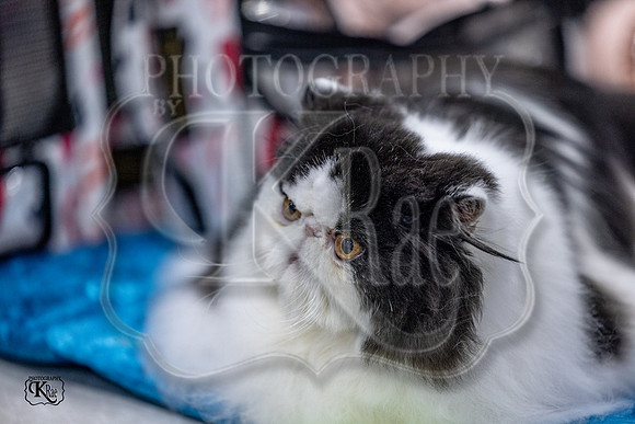 CFA_WLMGTN-0042
