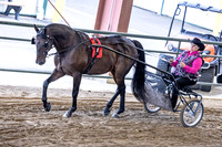 OSB_FallShow-0339