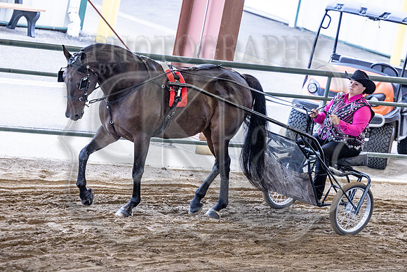 OSB_FallShow-0339
