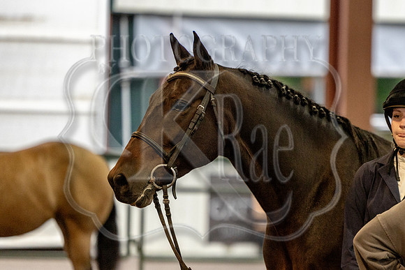 OSB_FallShow-0063
