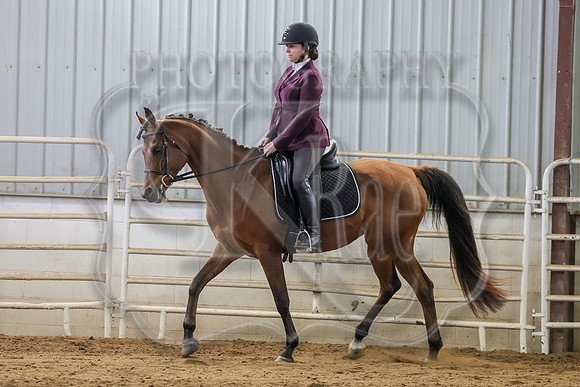SASS-2375