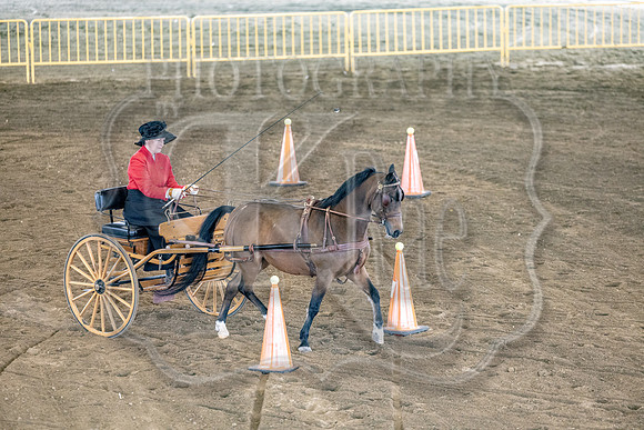 OSB_FallShow-0613