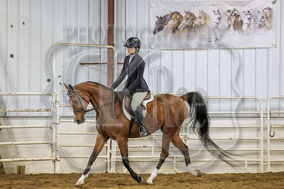 SASS-0917
