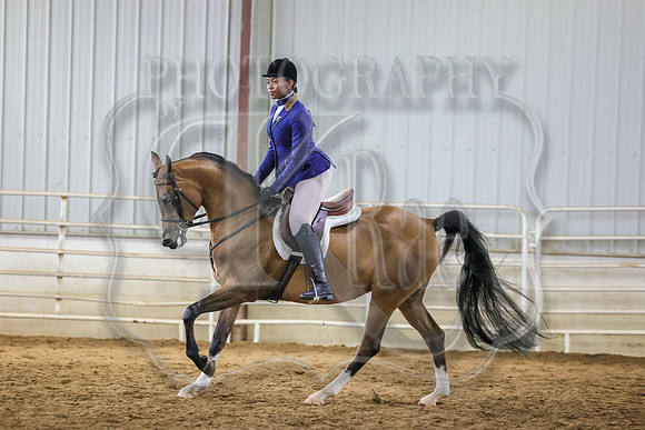 SASS-2646