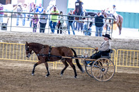 OSB_FallShow-0798