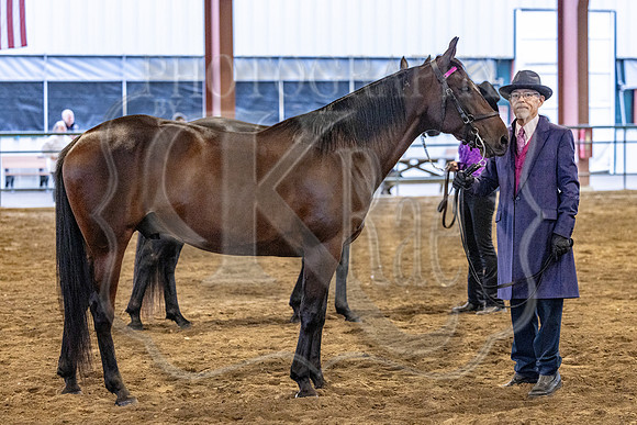 OSB_FallShow-0075