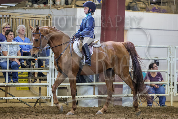 SASS-4913