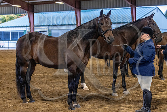 OSB_FallShow-0079