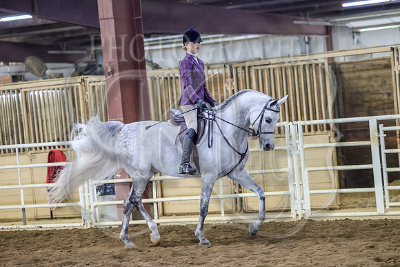 SASS-2365