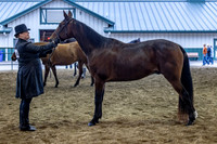 OSB_FallShow-0119