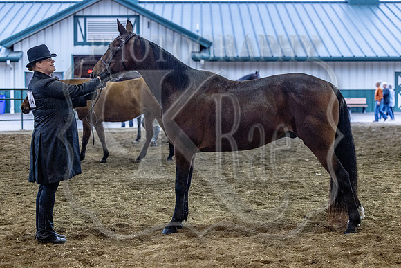 OSB_FallShow-0119