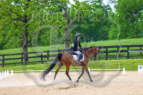 SASS-3562
