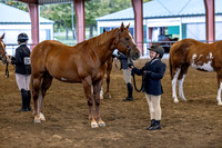 OSB_FallShow-0138