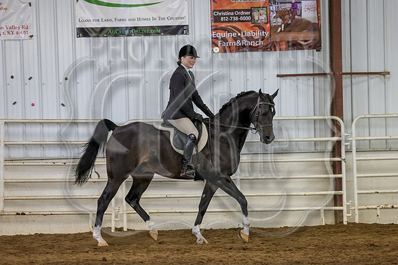 SASS-3446