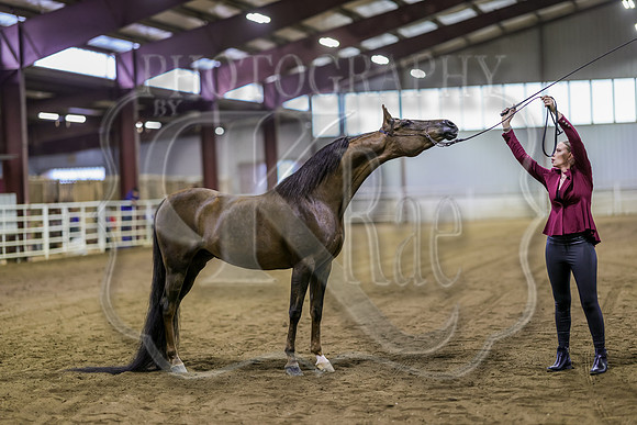 SASS-5059
