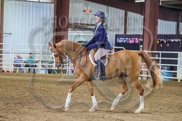 SASS-7741