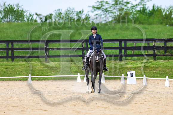SASS-2985